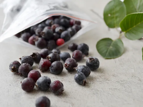 Фото блюда: Заморозка ирги на зиму