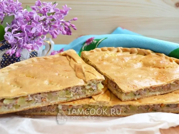 Фото блюда: Курник с мясом и картошкой