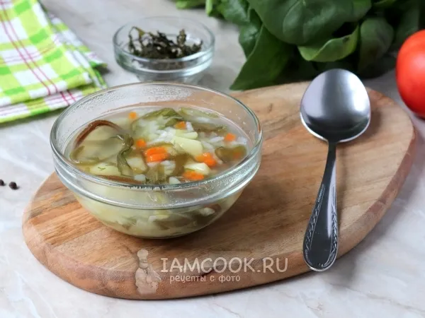 Фото блюда: Уха без рыбы (с морской капустой)