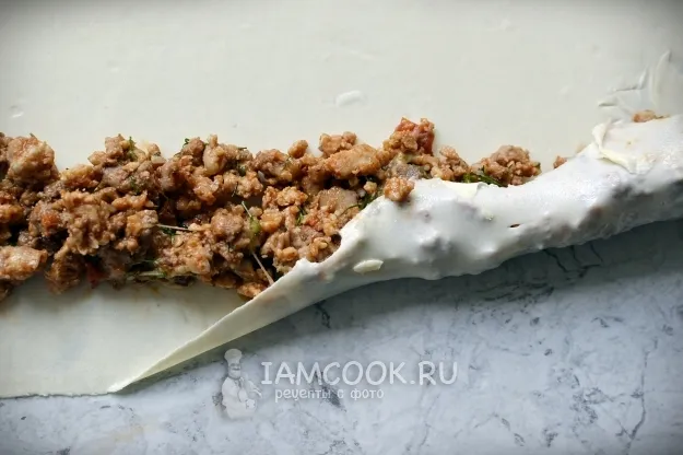 Шаг 15: иллюстрация