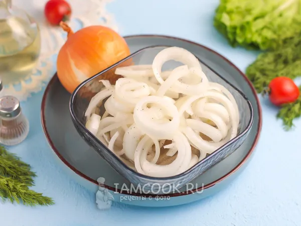 Фото блюда: Советский маринад для шашлыка