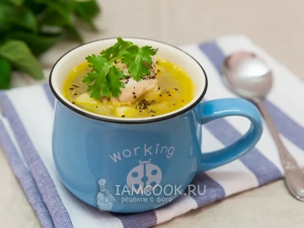 Фото блюда: Щи из квашеной капусты с курицей