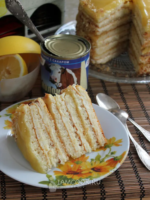 Шаг 19: иллюстрация