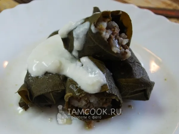 Фото блюда: Долма в виноградных листьях