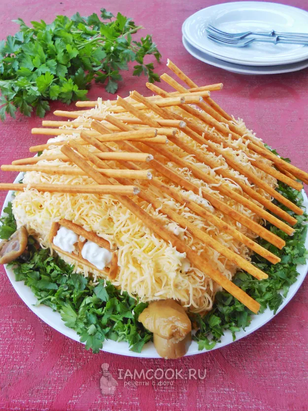 Шаг 16: иллюстрация