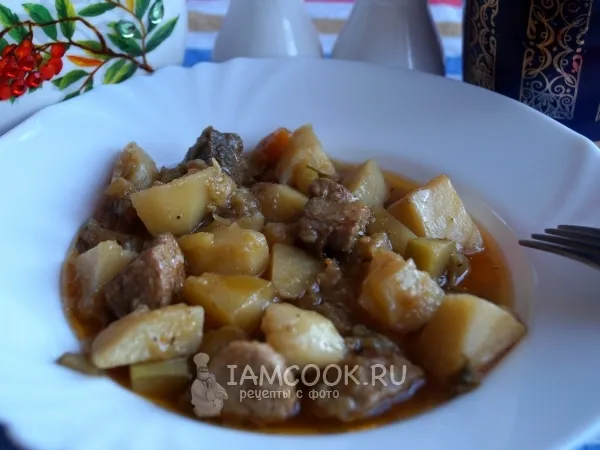 Фото блюда: Овощное рагу со свининой