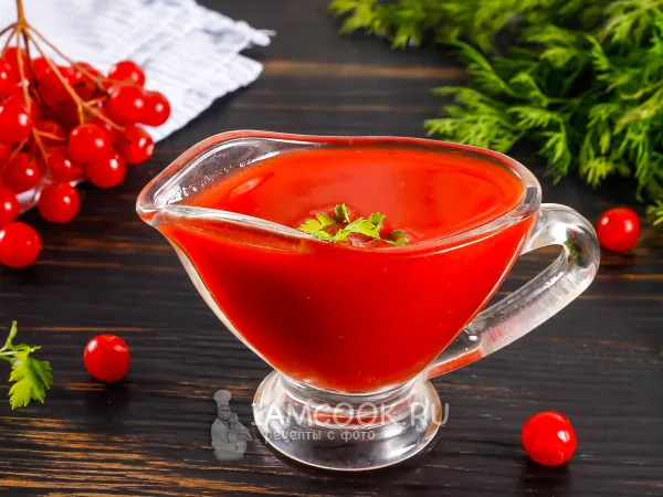 Фото блюда: Соус из калины к мясу