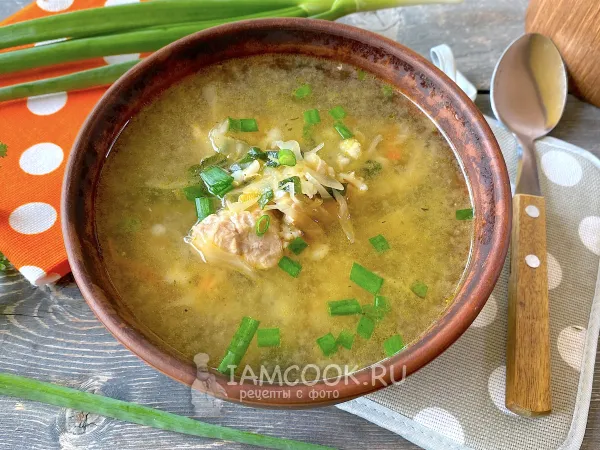 Фото блюда: Томленые щи в мультиварке (с квашеной капустой)