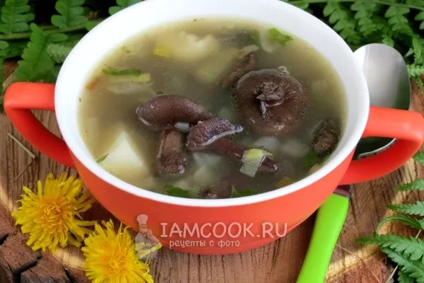 Шаг 10: иллюстрация