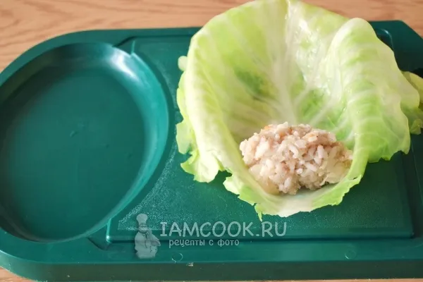 Шаг 10: иллюстрация