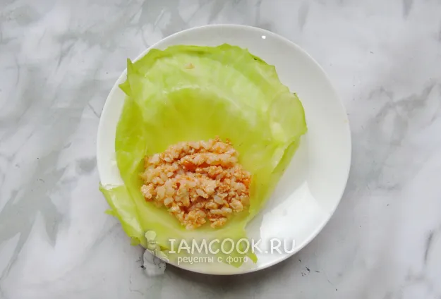 Шаг 10: иллюстрация