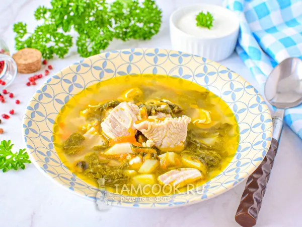 Фото блюда: Щавелевый суп с индейкой