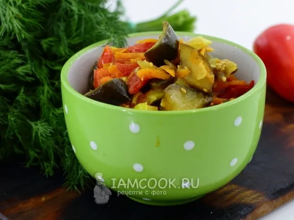 Фото блюда: Рагу из баклажанов и помидоров