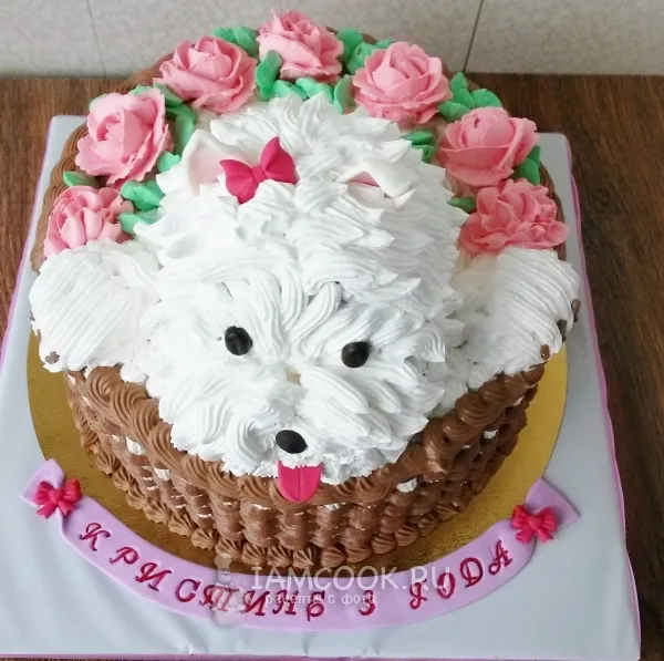 Шаг 11: иллюстрация