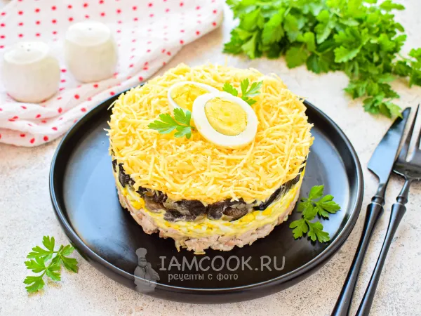 Фото блюда: Салат «Сказка» с курицей и сыром