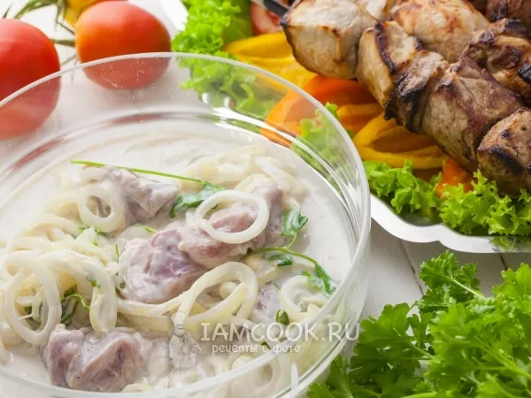 Фото блюда: Маринад для шашлыка из свинины на кефире