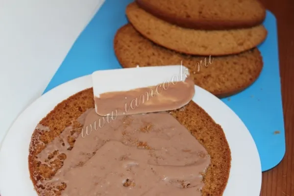 Шаг 10: иллюстрация