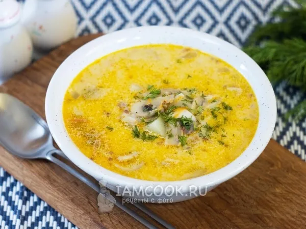 Фото блюда: Суп с гречкой и сыром