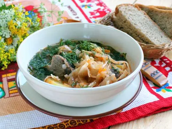 Фото блюда: Капустняк с квашеной капустой