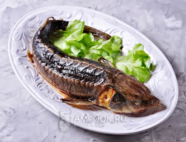 Шаг 12: иллюстрация