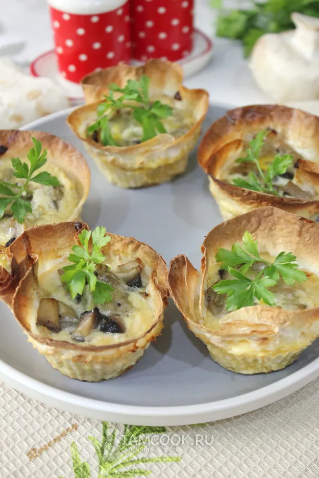 Шаг 14: иллюстрация