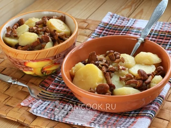 Фото блюда: Лисички с картошкой в мультиварке