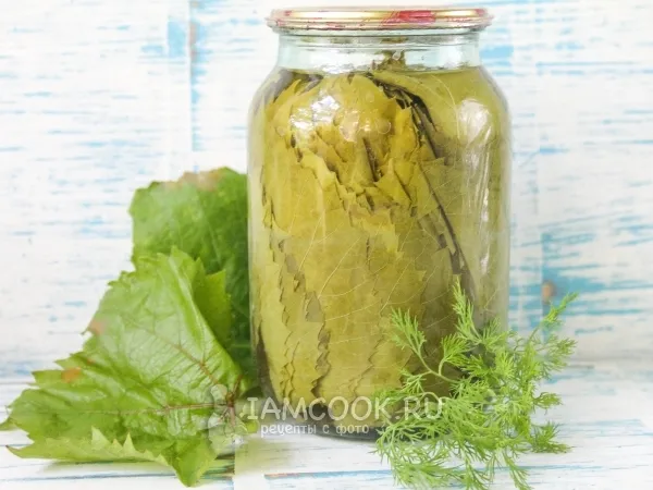 Фото блюда: Маринованные виноградные листья на зиму
