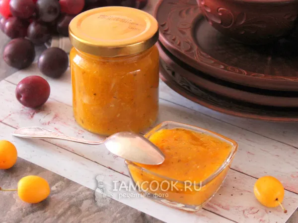 Фото блюда: Соус Асызбал по-абхазски (из алычи)