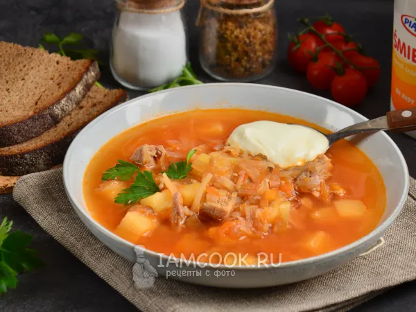 Фото блюда: Борщ со свининой и квашеной капустой