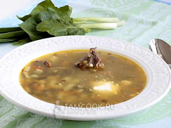 Фото блюда: Зеленый борщ с мясом