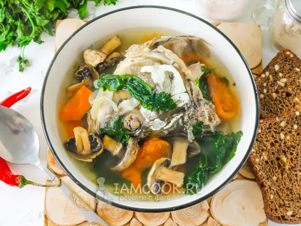 Фото блюда: Уха из карпа с грибами