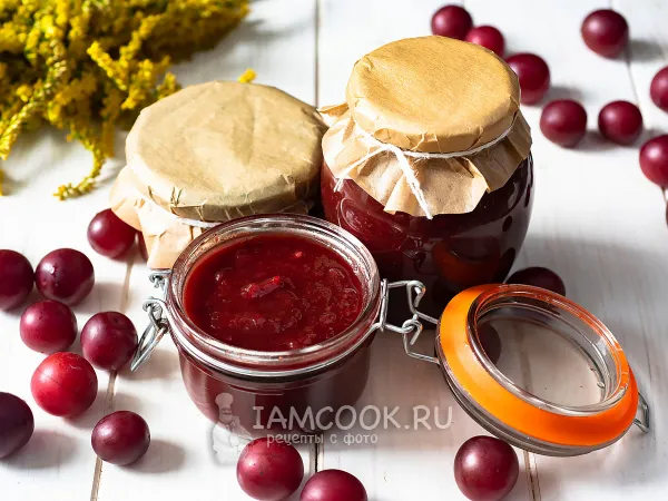 Фото блюда: Кетчуп из алычи на зиму