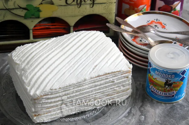 Шаг 10: иллюстрация