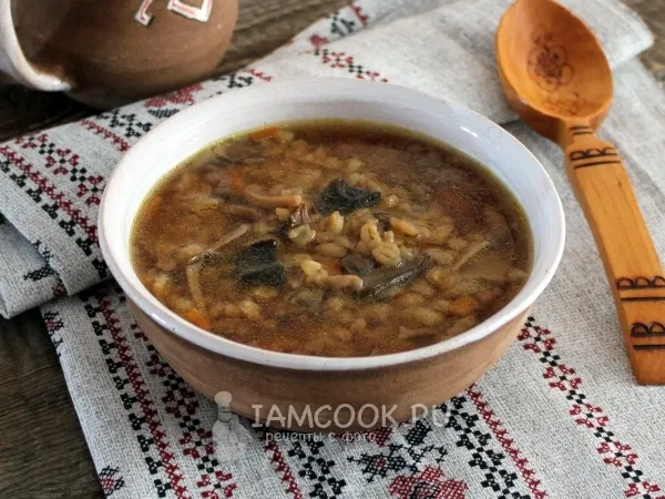 Фото блюда: Грибной суп из сушеных грибов с перловкой