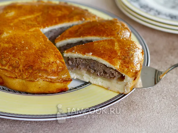 Фото блюда: Пирог с мясом и луком