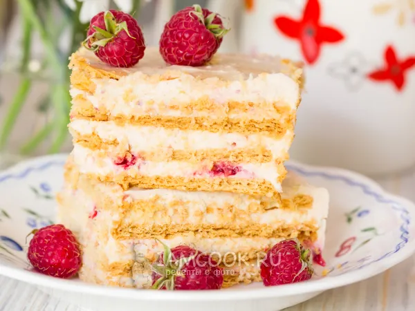 Фото блюда: Торт из печенья, творога, сметаны и малины (без выпечки)